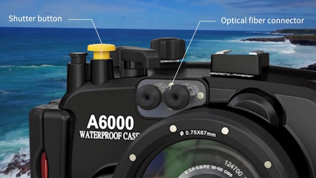 Amazon.com : Sea Frogs 130ft/40m Underwater Camera Housing